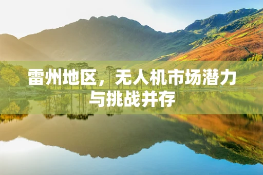 雷州地区，无人机市场潜力与挑战并存