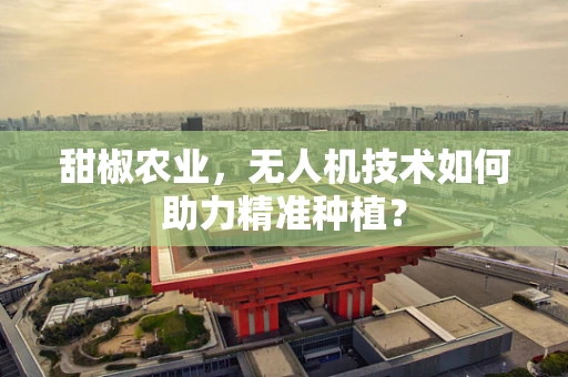 甜椒农业，无人机技术如何助力精准种植？