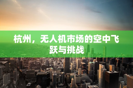 杭州，无人机市场的空中飞跃与挑战
