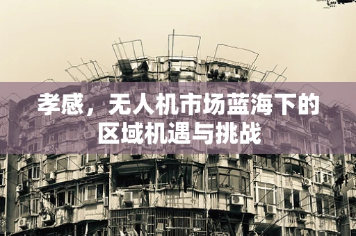孝感，无人机市场蓝海下的区域机遇与挑战
