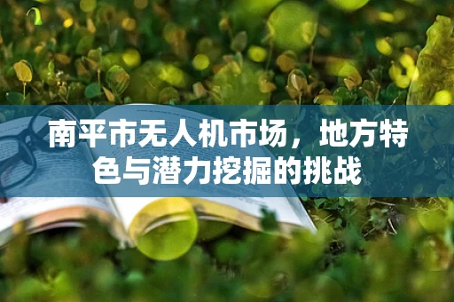 南平市无人机市场，地方特色与潜力挖掘的挑战