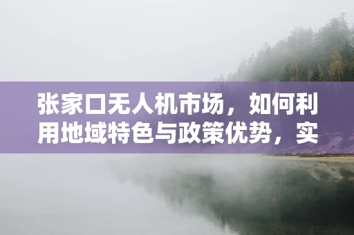 张家口无人机市场，如何利用地域特色与政策优势，实现规模化发展？