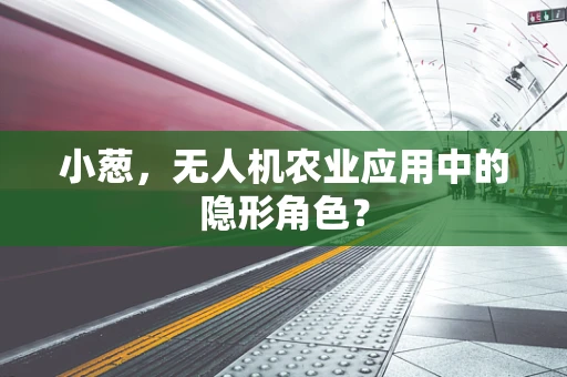 小葱，无人机农业应用中的隐形角色？