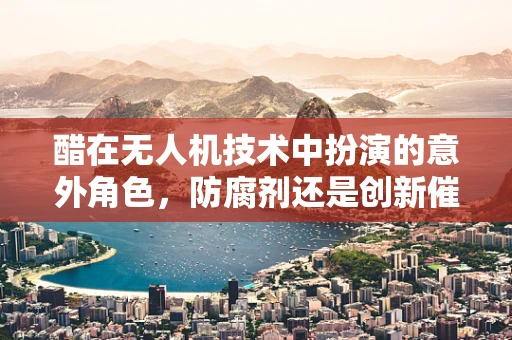 醋在无人机技术中扮演的意外角色，防腐剂还是创新催化剂？