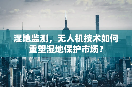 湿地监测，无人机技术如何重塑湿地保护市场？