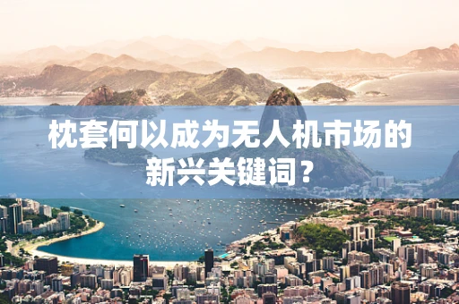 枕套何以成为无人机市场的新兴关键词？