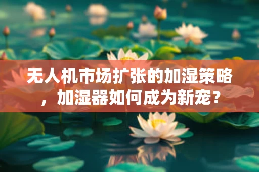 无人机市场扩张的加湿策略，加湿器如何成为新宠？