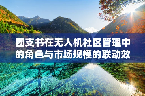 团支书在无人机社区管理中的角色与市场规模的联动效应