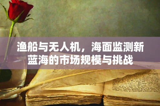 渔船与无人机，海面监测新蓝海的市场规模与挑战