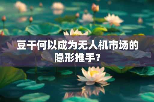 豆干何以成为无人机市场的隐形推手？