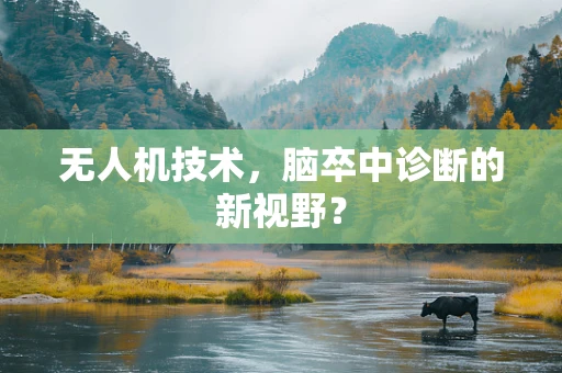 无人机技术，脑卒中诊断的新视野？