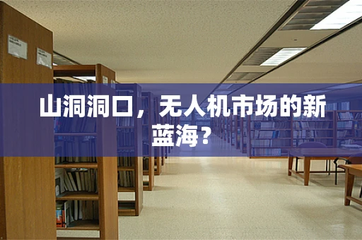 山洞洞口，无人机市场的新蓝海？
