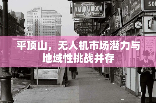 平顶山，无人机市场潜力与地域性挑战并存