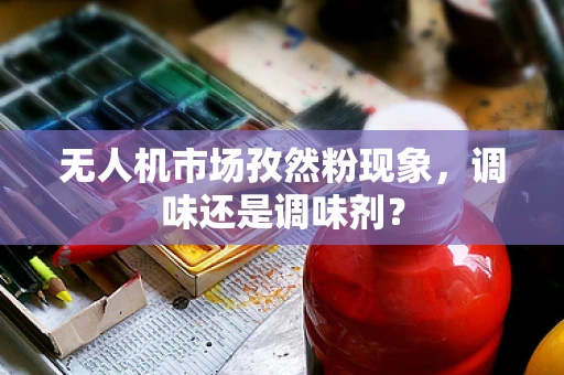 无人机市场孜然粉现象，调味还是调味剂？