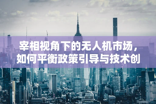 宰相视角下的无人机市场，如何平衡政策引导与技术创新以促进行业健康发展？