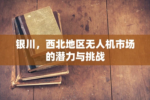 银川，西北地区无人机市场的潜力与挑战
