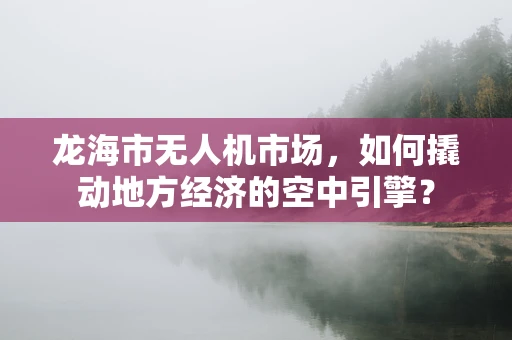 龙海市无人机市场，如何撬动地方经济的空中引擎？
