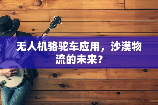 无人机骆驼车应用，沙漠物流的未来？