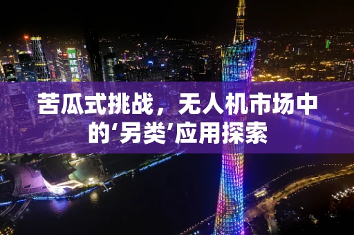 苦瓜式挑战，无人机市场中的‘另类’应用探索