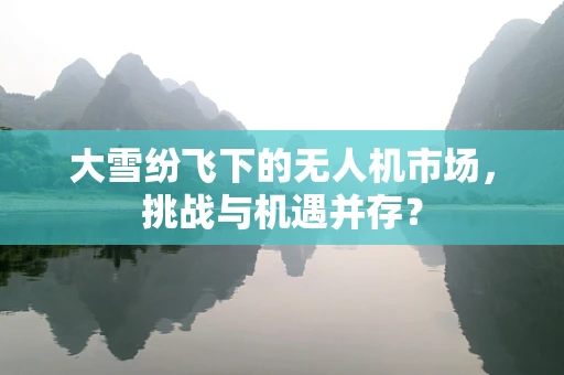 大雪纷飞下的无人机市场，挑战与机遇并存？