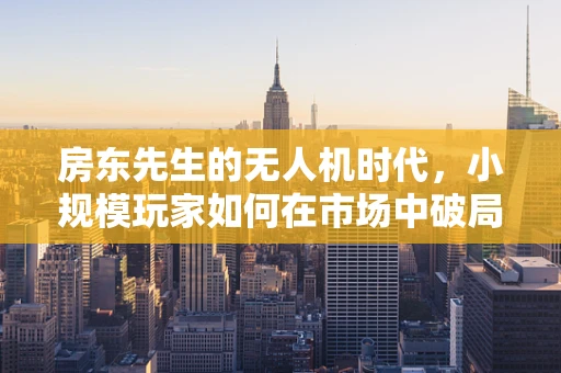 房东先生的无人机时代，小规模玩家如何在市场中破局？