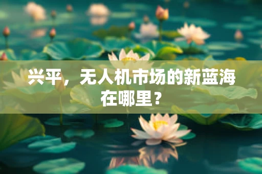兴平，无人机市场的新蓝海在哪里？