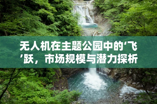 无人机在主题公园中的‘飞’跃，市场规模与潜力探析