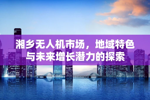 湘乡无人机市场，地域特色与未来增长潜力的探索