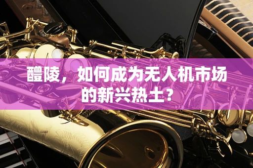 醴陵，如何成为无人机市场的新兴热土？