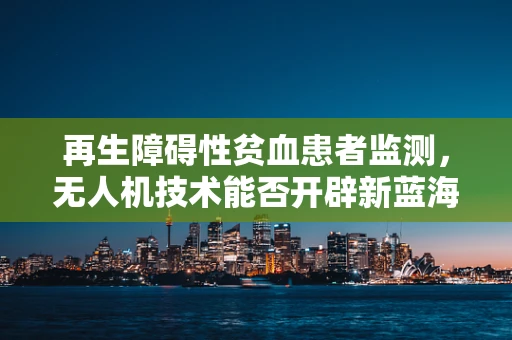 再生障碍性贫血患者监测，无人机技术能否开辟新蓝海？