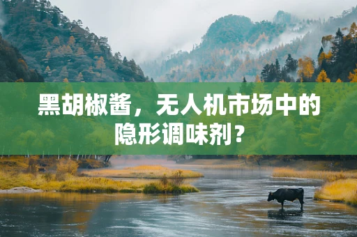黑胡椒酱，无人机市场中的隐形调味剂？
