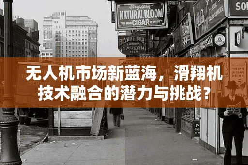 无人机市场新蓝海，滑翔机技术融合的潜力与挑战？