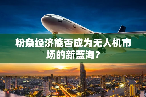 粉条经济能否成为无人机市场的新蓝海？