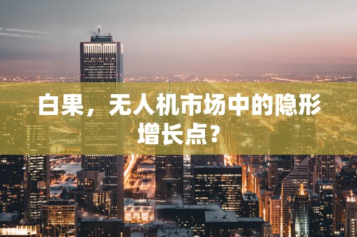 白果，无人机市场中的隐形增长点？