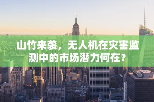 山竹来袭，无人机在灾害监测中的市场潜力何在？