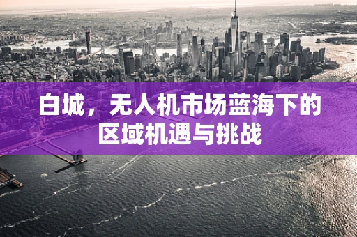 白城，无人机市场蓝海下的区域机遇与挑战