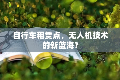 自行车租赁点，无人机技术的新蓝海？