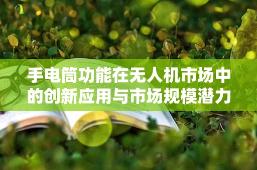 手电筒功能在无人机市场中的创新应用与市场规模潜力