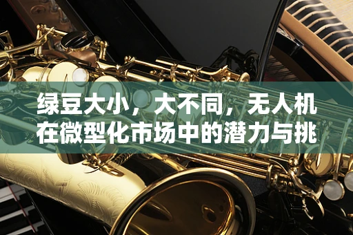 绿豆大小，大不同，无人机在微型化市场中的潜力与挑战？