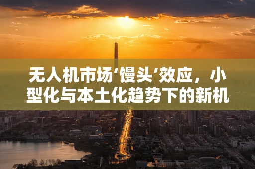 无人机市场‘馒头’效应，小型化与本土化趋势下的新机遇？
