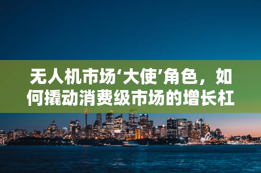 无人机市场‘大使’角色，如何撬动消费级市场的增长杠杆？