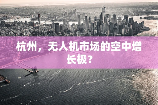 杭州，无人机市场的空中增长极？