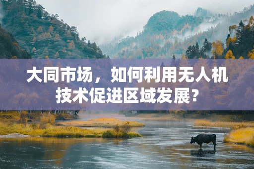 大同市场，如何利用无人机技术促进区域发展？