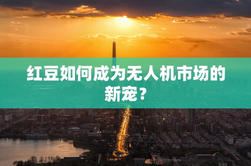 红豆如何成为无人机市场的新宠？