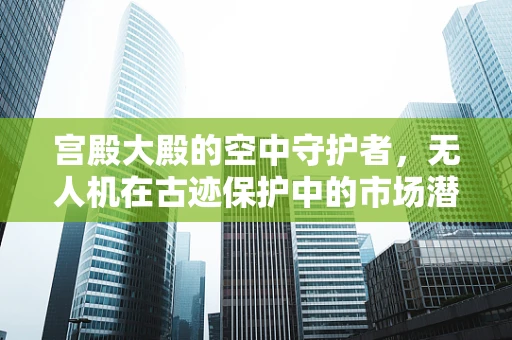 宫殿大殿的空中守护者，无人机在古迹保护中的市场潜力与挑战