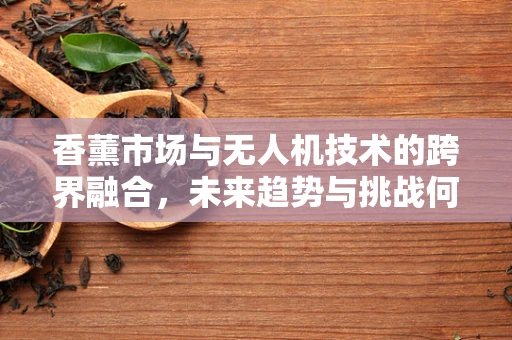 香薰市场与无人机技术的跨界融合，未来趋势与挑战何在？