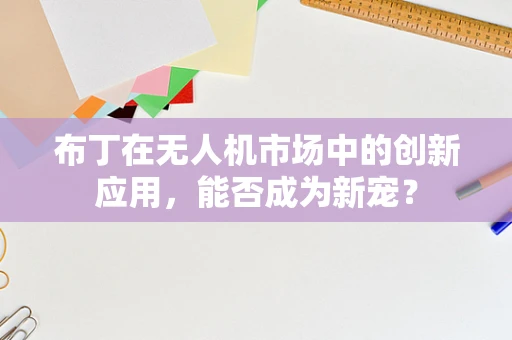 布丁在无人机市场中的创新应用，能否成为新宠？