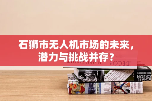 石狮市无人机市场的未来，潜力与挑战并存？