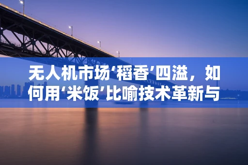 无人机市场‘稻香’四溢，如何用‘米饭’比喻技术革新与市场扩展？