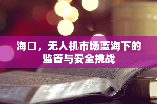 海口，无人机市场蓝海下的监管与安全挑战